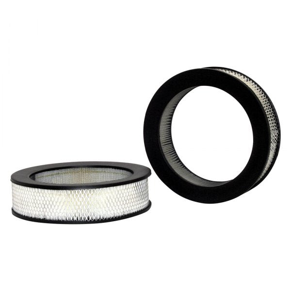 Luftfilter Ford, Mercury 246x189x65mm. 42056 (A40061)