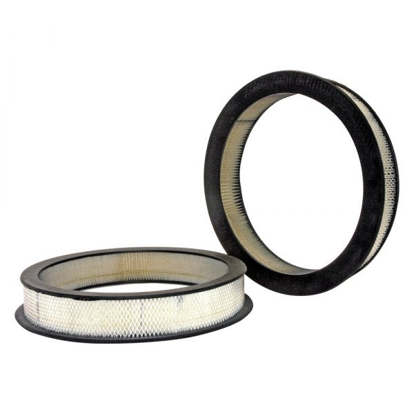 Luftfilter Buick 63-67, Cadillac 59-60, Oldsmobile 1959, 1966 42092, A60030, A85C, AFP30, AF30