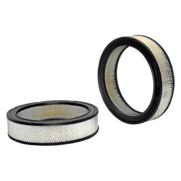 Luftfilter Cadillac, Oldsmobile, Pontiac 273 x 219 x 65mm 42097