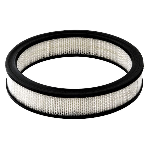 Luftfilter / Luftfilterinsats till Kromad Luftrenare 10"x 2" 6479